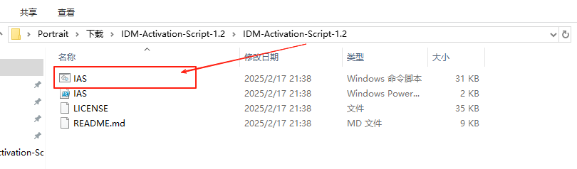 IDM一键激活,永久免费使用!